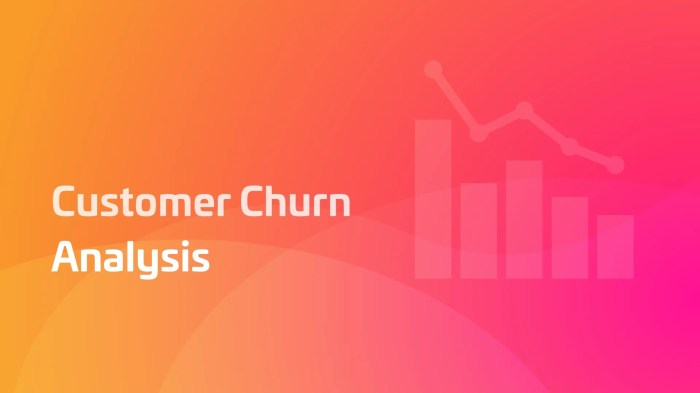 Understanding Customer Churn